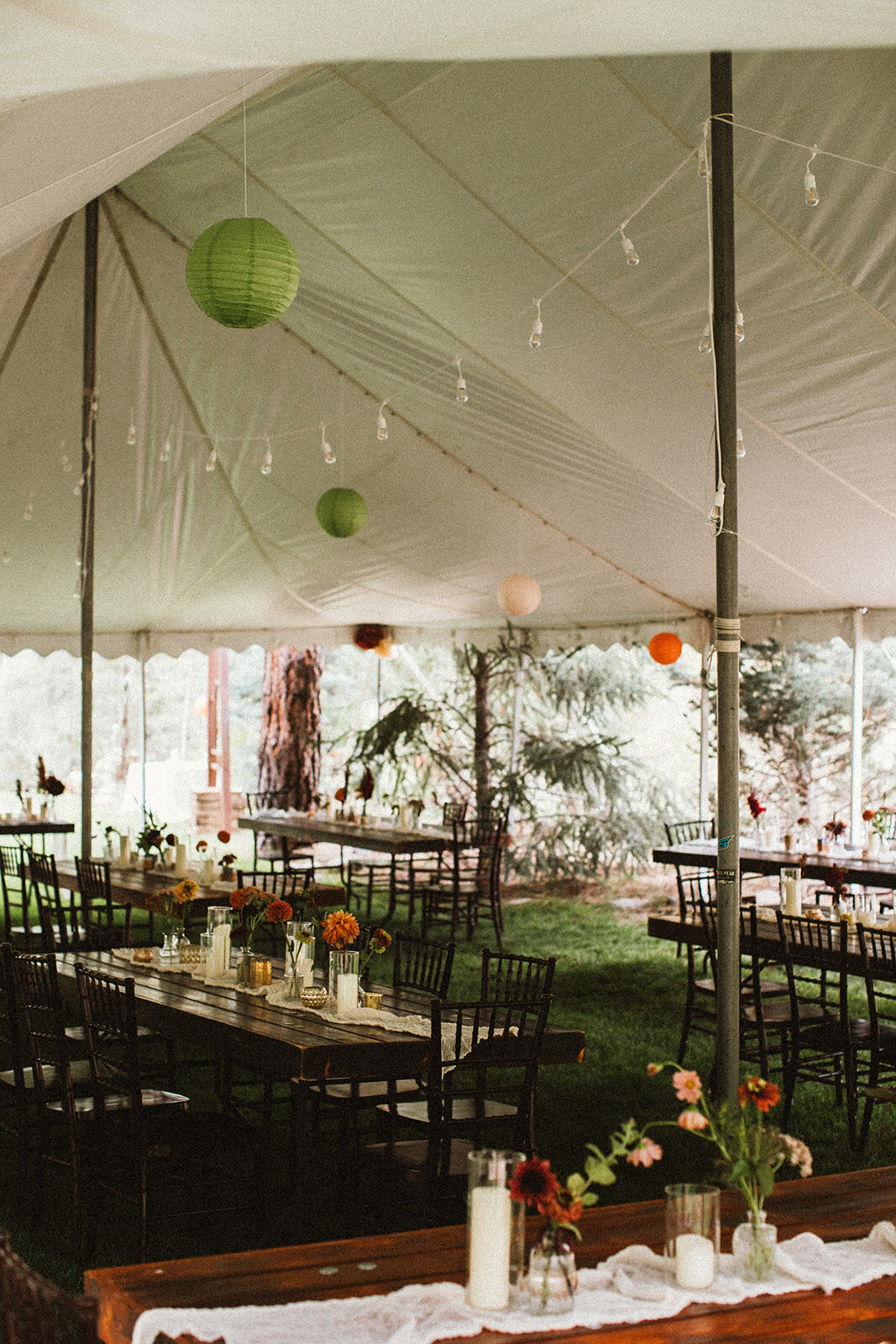 backyard weddign decor 
