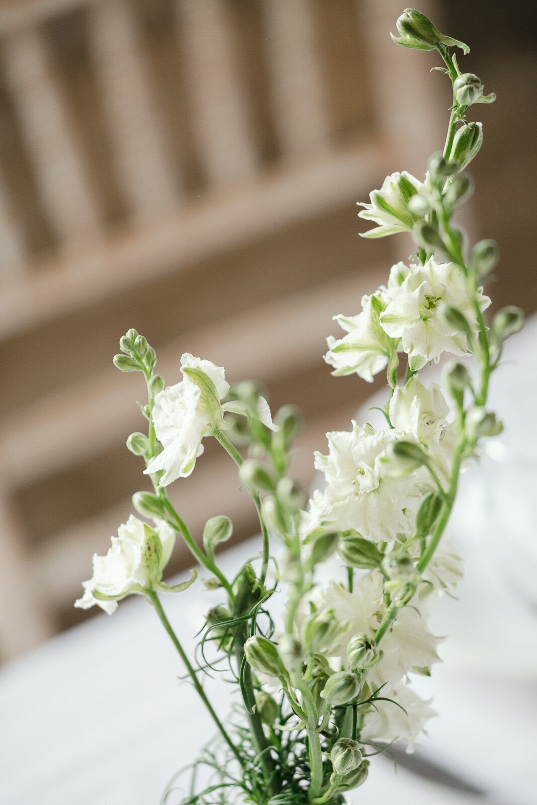 Elegant Wedding at Hinwick House, Northamptonshire - Destination Wedding Photography-143