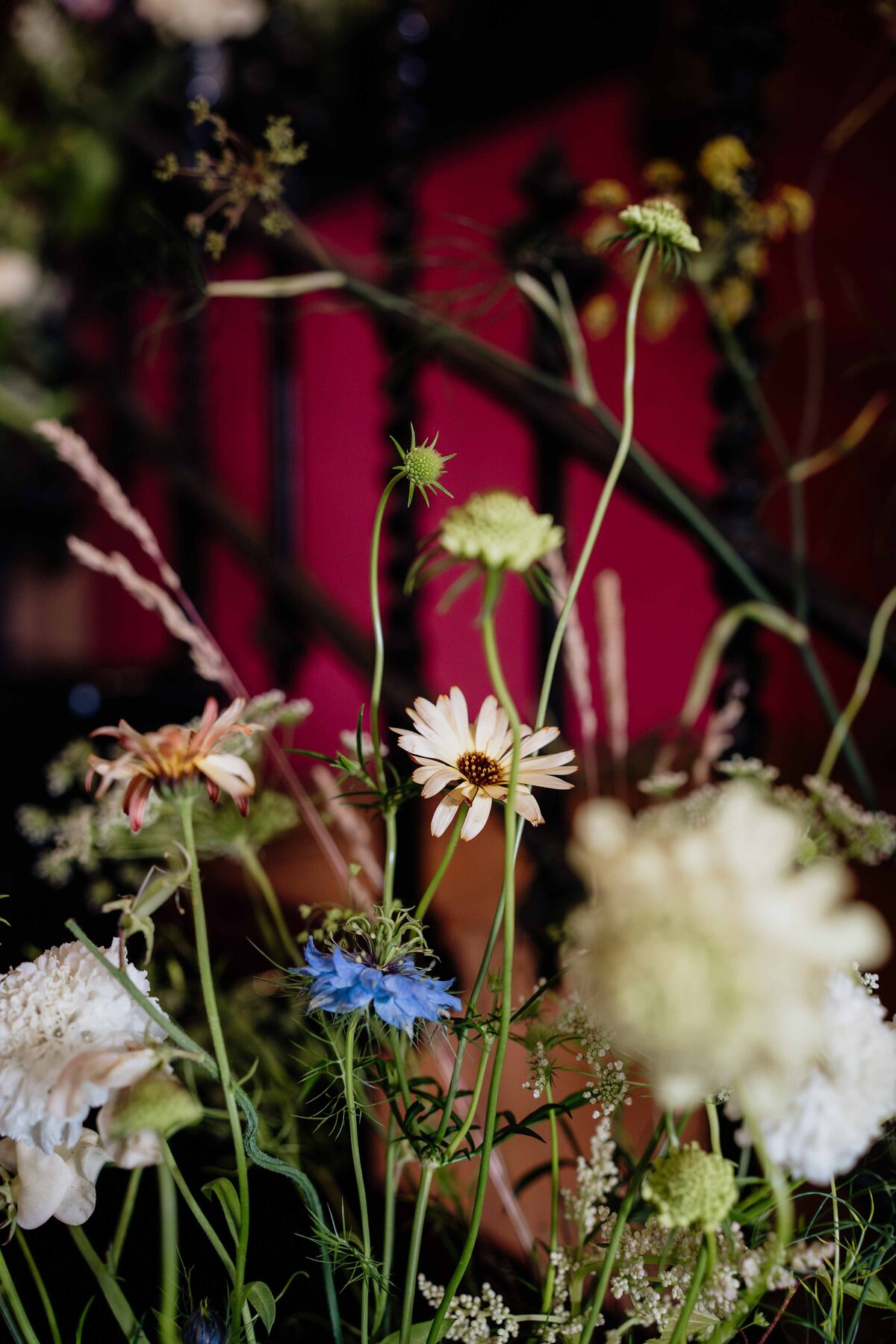 Royal Botanic Garden Edinburgh Wedding Photography by Aberdeen Wedding Photographer Scott Arlow -93