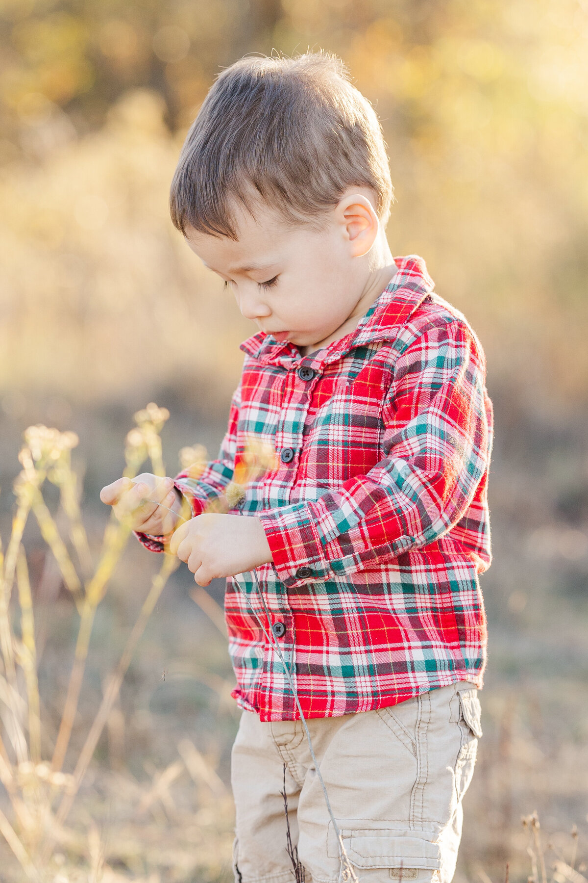 2-year-old-boy-inspecting-flowers-in-a-field