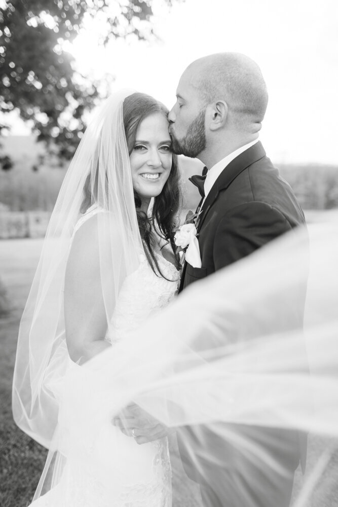 black and white veil portrait of bride and groom - candlelight farms inn wedding