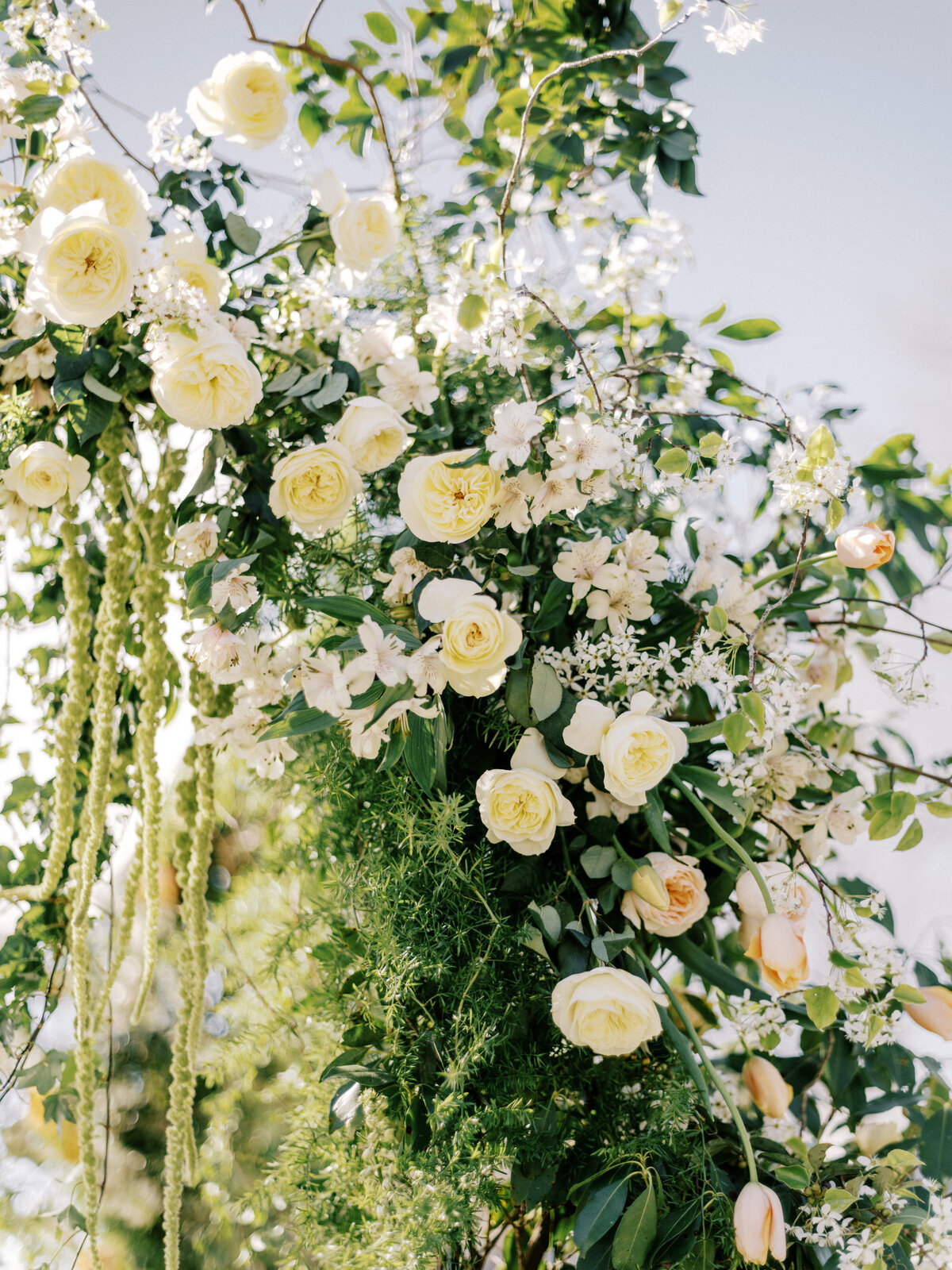 Biltmore Estate Italian Garden and South Terrace Wedding_004