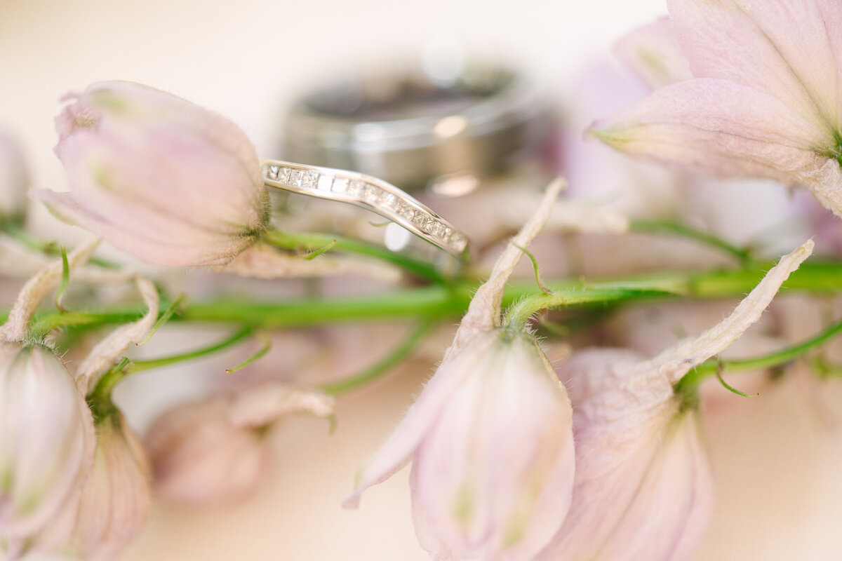 Sharelle-Knight-Photography-Natalie-and-Isaac-Sunshine-Coast-Wedding-60