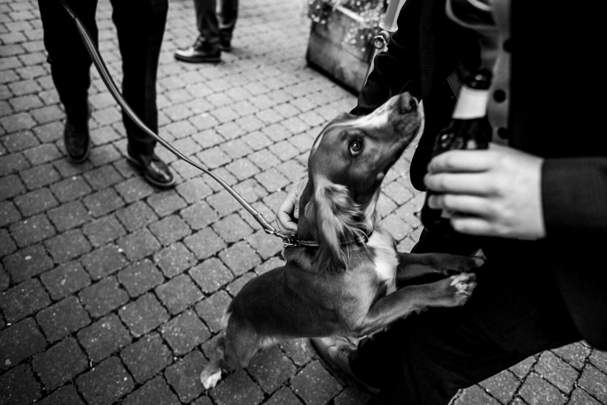 FoxMoonPhotography-65