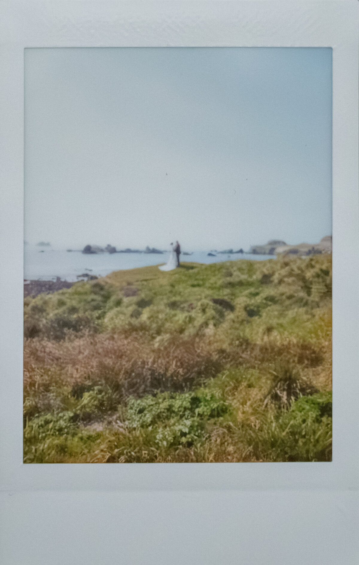 04-29-25_Redwood Elopement_PRPLLC-545