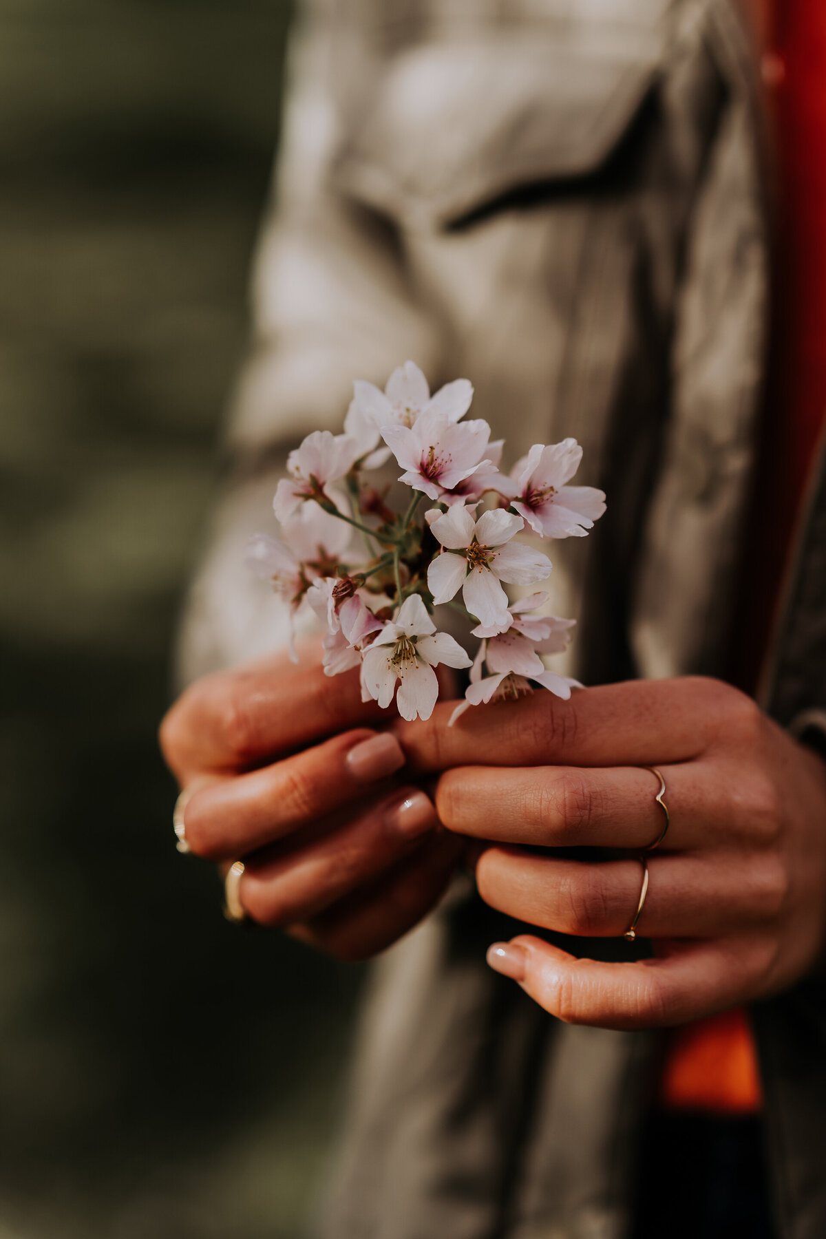Lotte-Bosschieter-Photography-Branding-Amsterdamse bos 3