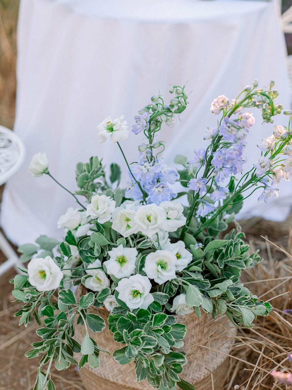 dreamy-proposal-akash-and-zack-lavender-fields-provence-andrea-marino-photography-5