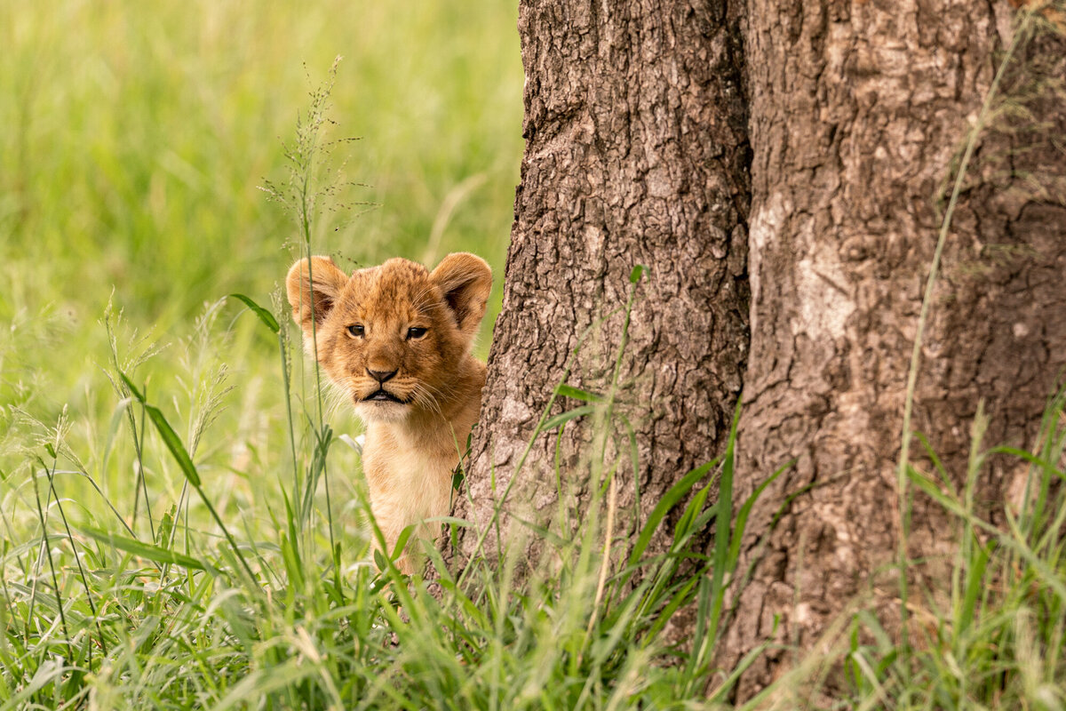 Kenya_Prints-17