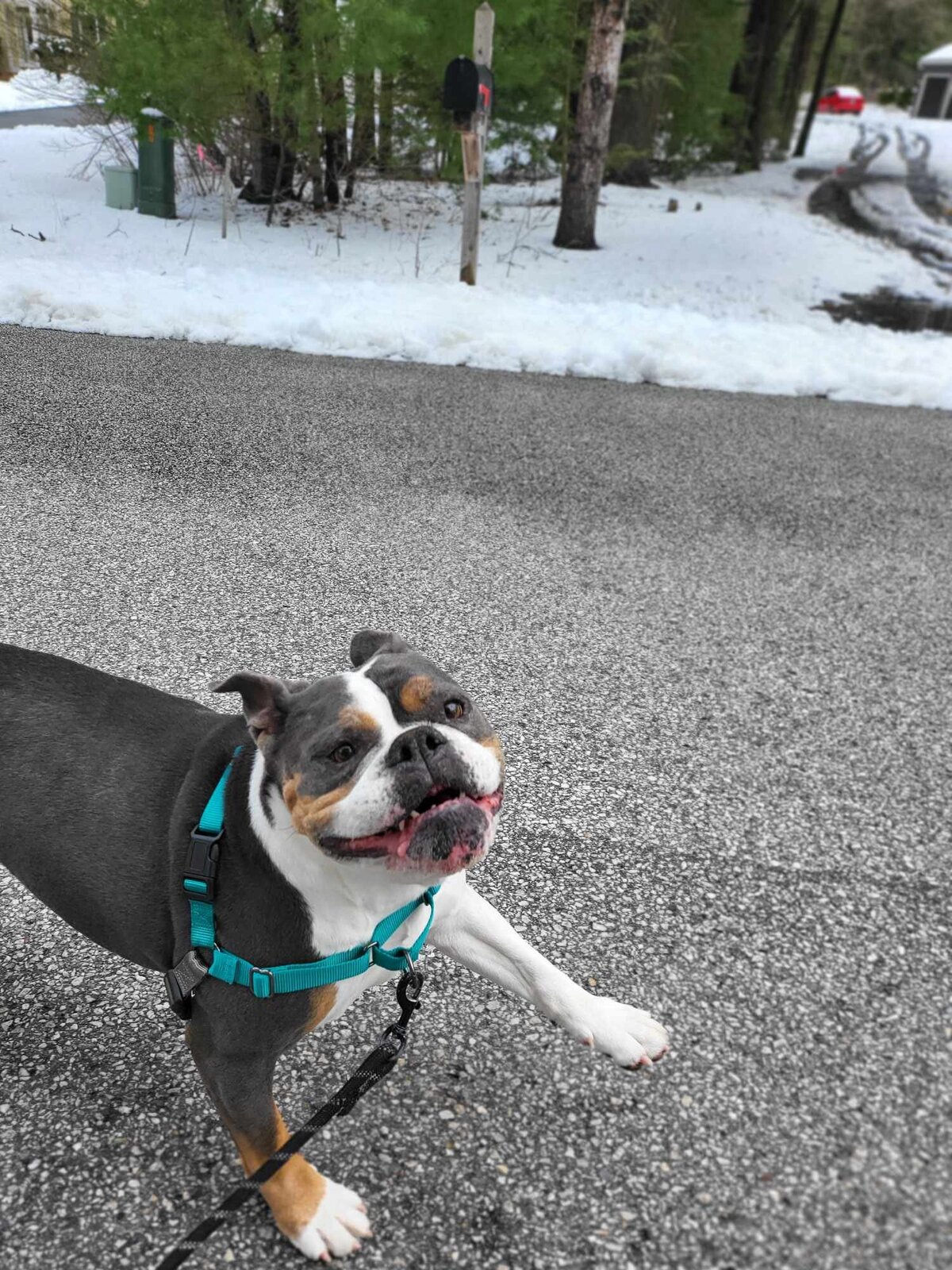 Ellie