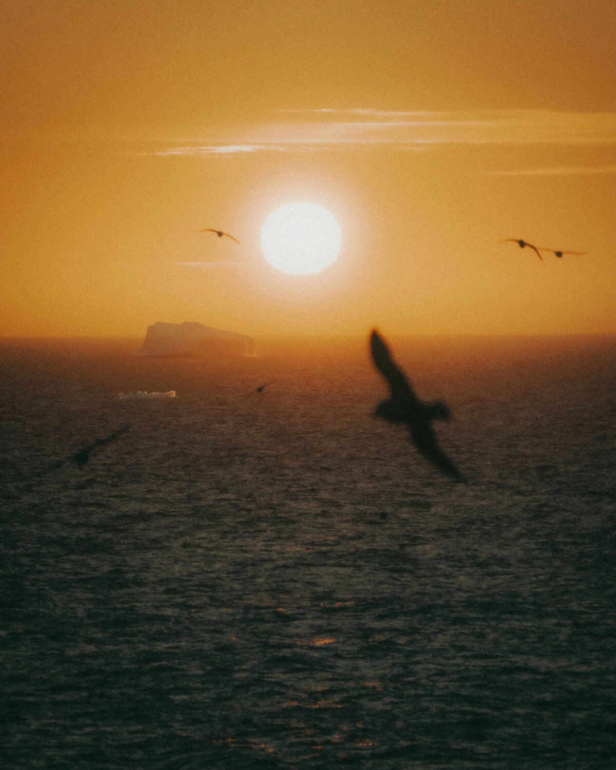 128_greenland sun_helloemilie