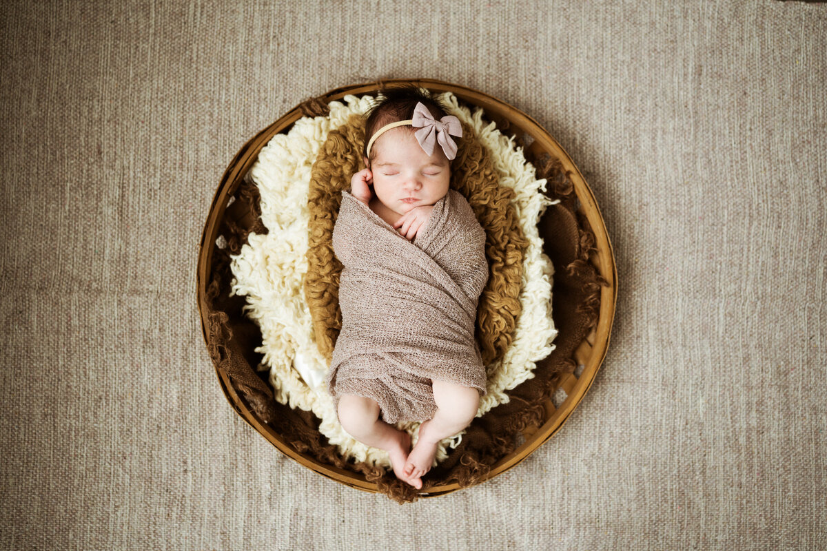 Pittsburhgh Newborn Photographer--Newborn Website Update-2