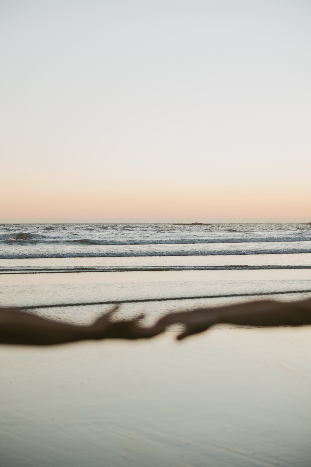 tanya-davids-photo-film-redwoods-california-oregon-coast-documentary-candid-destination-washington-idaho-utah-canada-elopement-wedding-couples-photographer-74