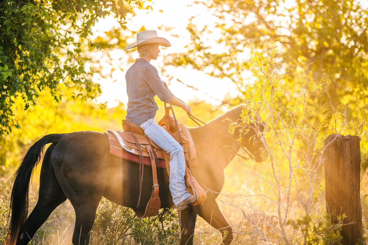 Texas Equine Photography