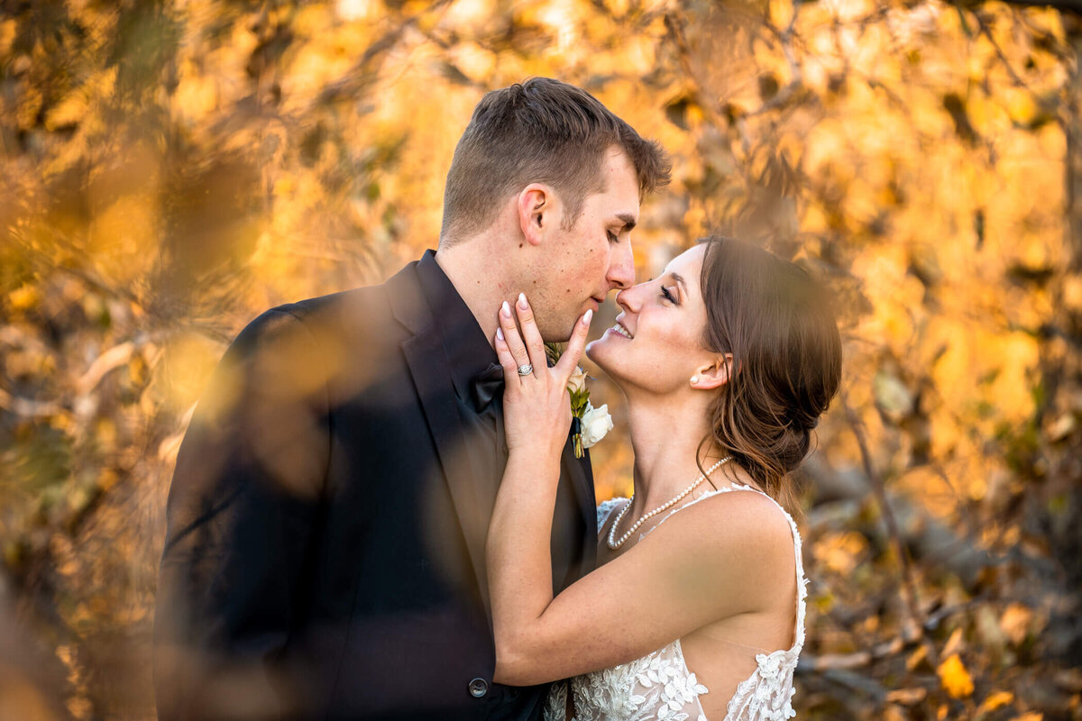 Golden hour Pittsburgh wedding photo of couple holding each other in a vineyard illuminated by sunset.