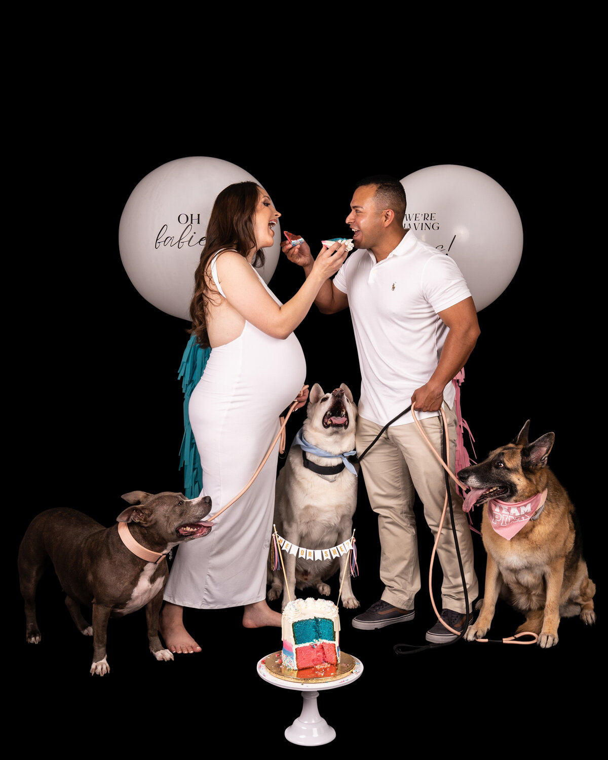 Maternity Photos with Dogs-6