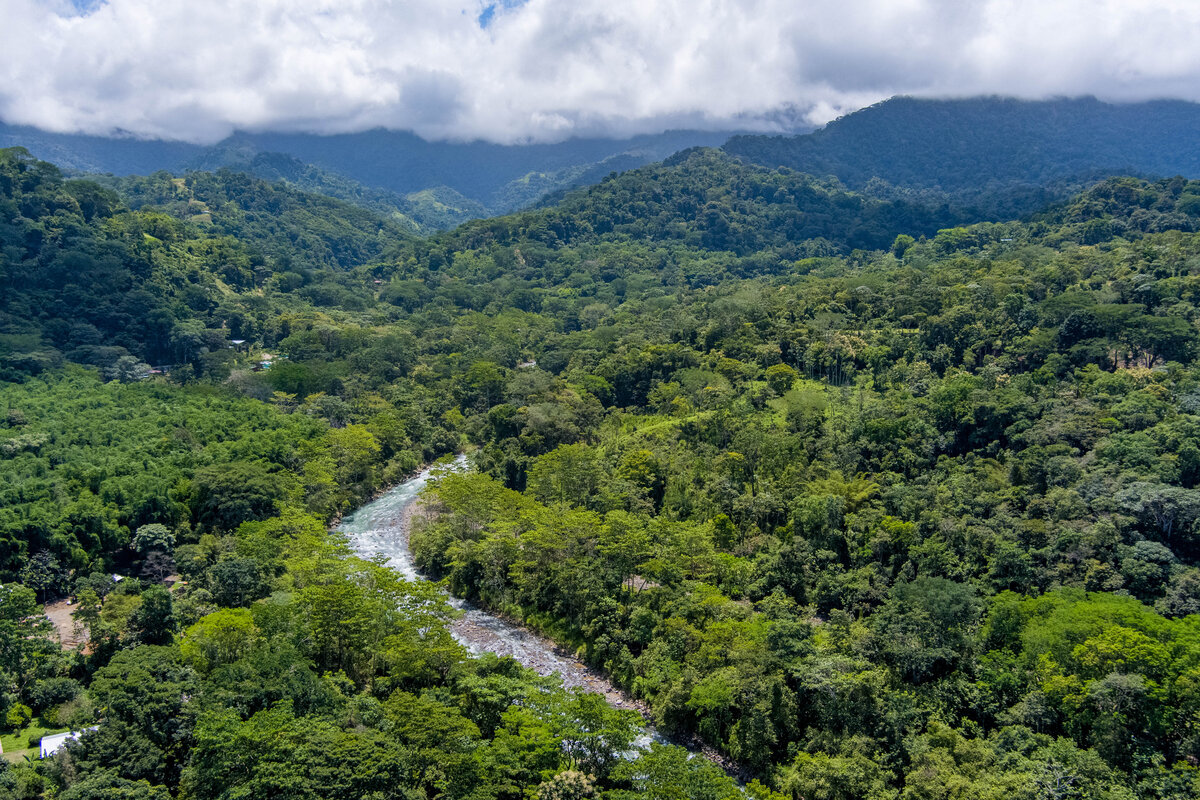 aerial shot of a river and trees in costa rica 