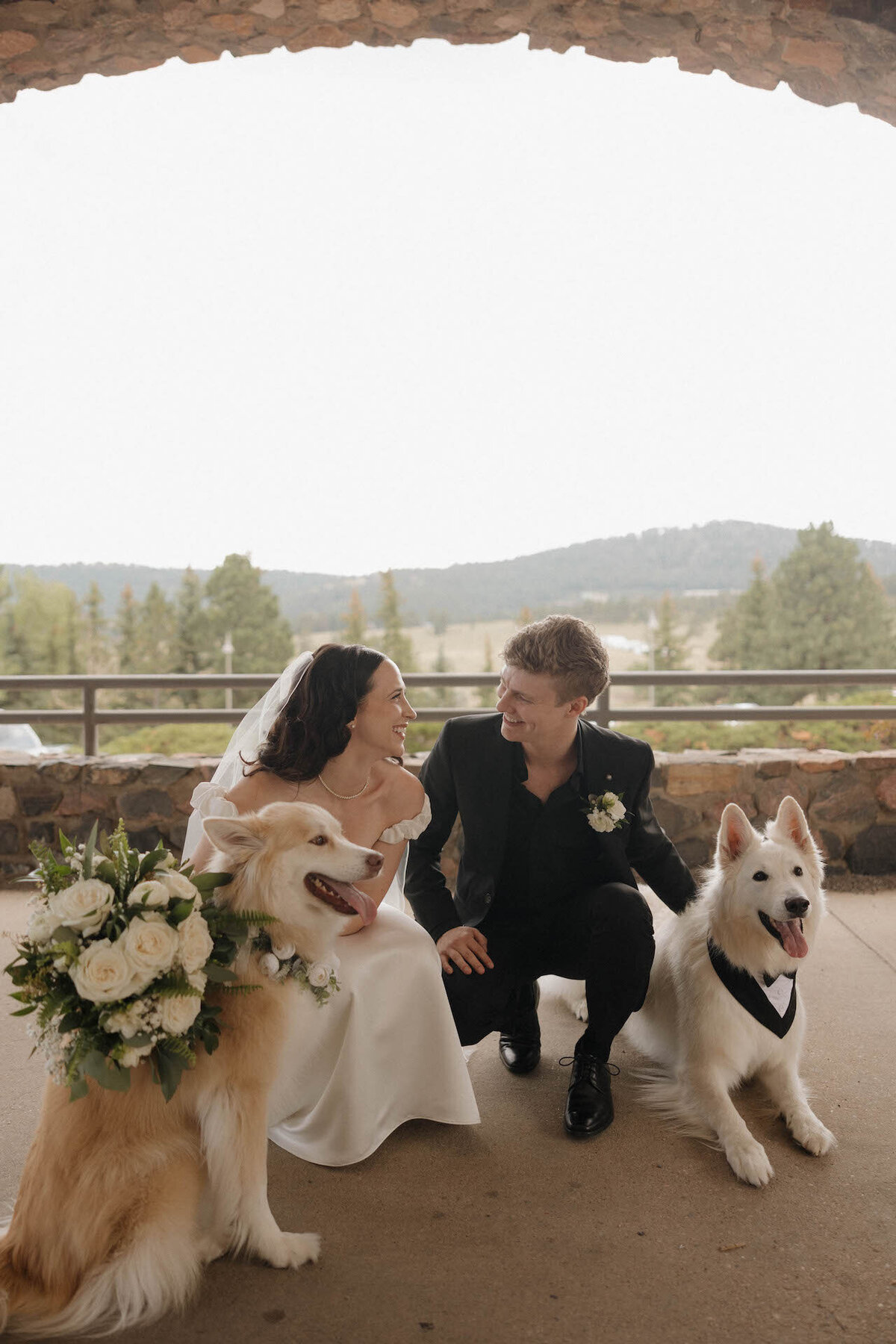 bride-groom-dogs-mount-vernon-canyon-club