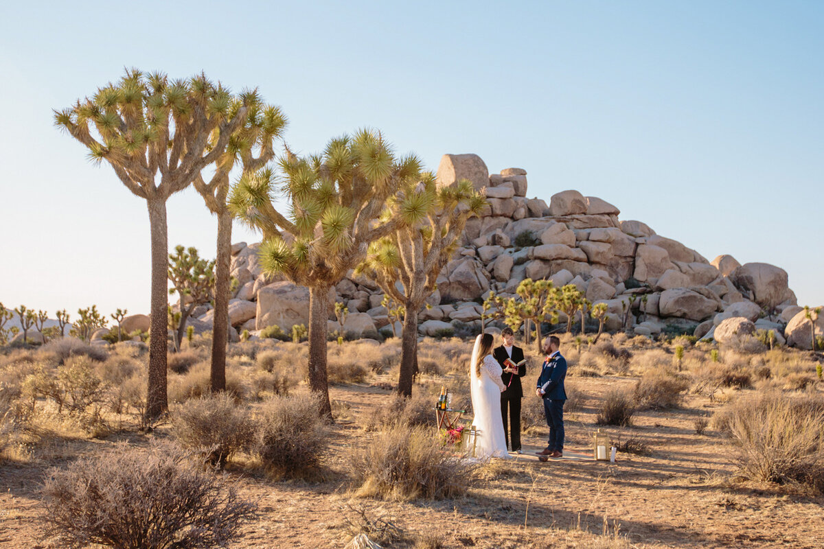 bride, groom and officiant have wedding ceremony in the desert