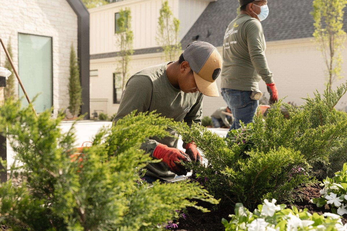 landscape-installation-planting-evergreens-little-rock-hero