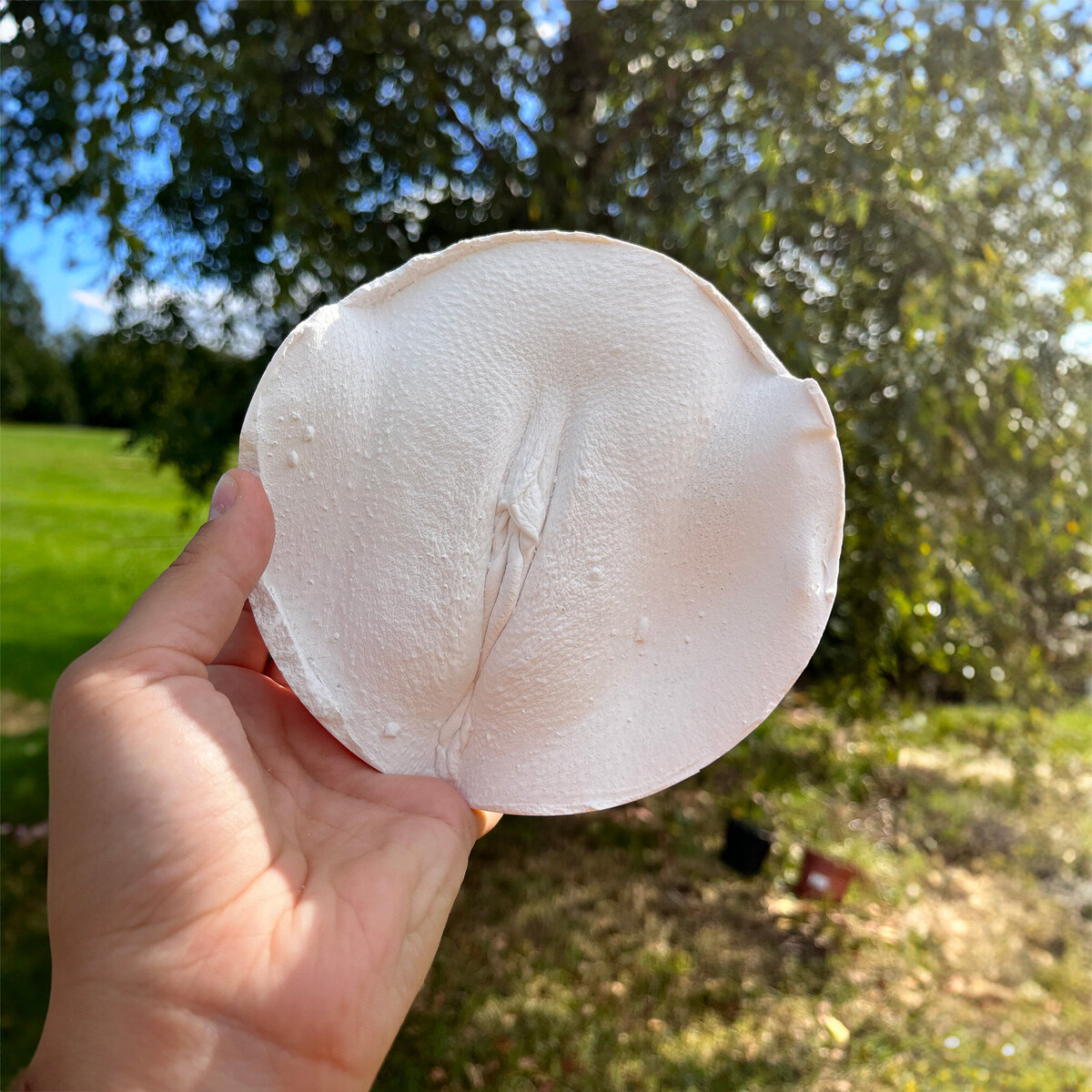 Vulva-Casting-1