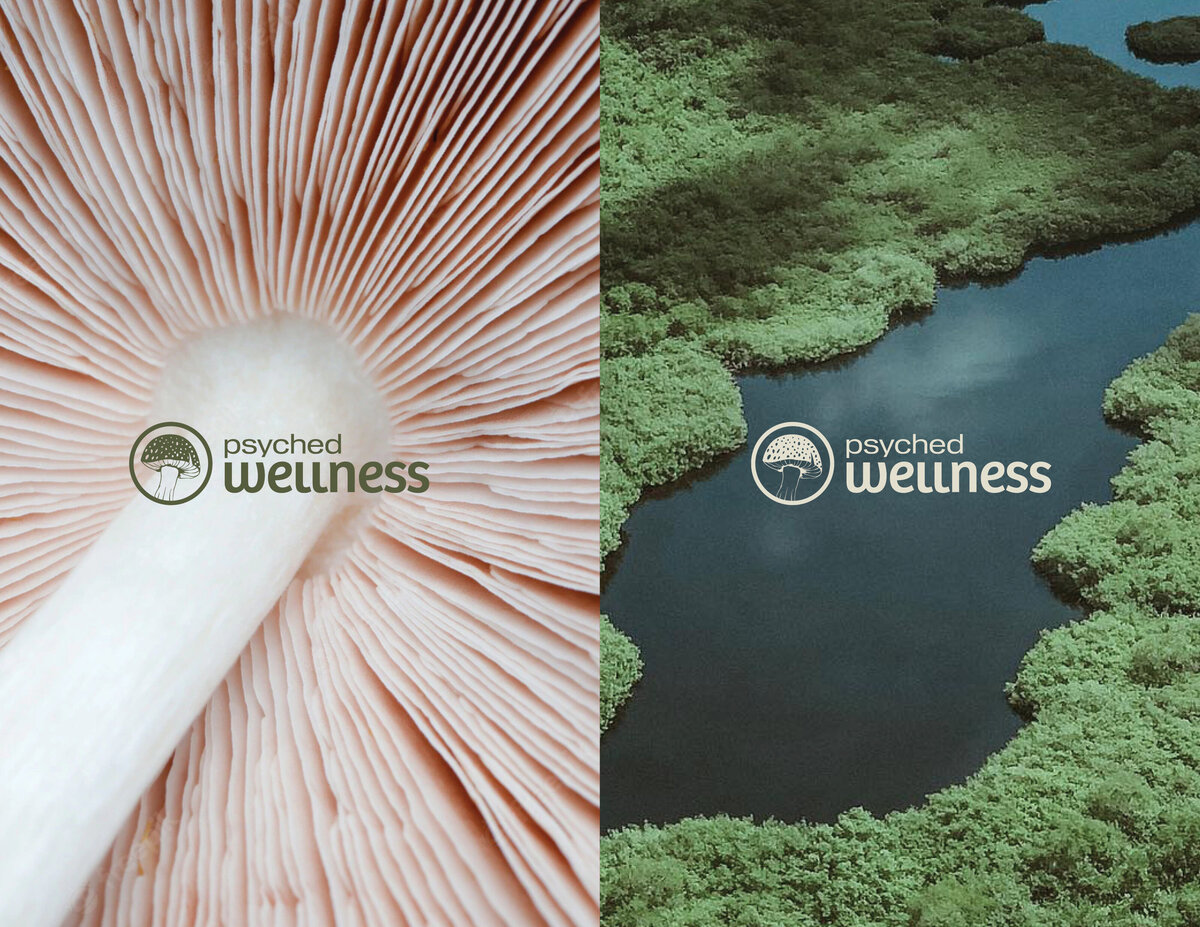 PsychedWellness_BrandGuidelines8