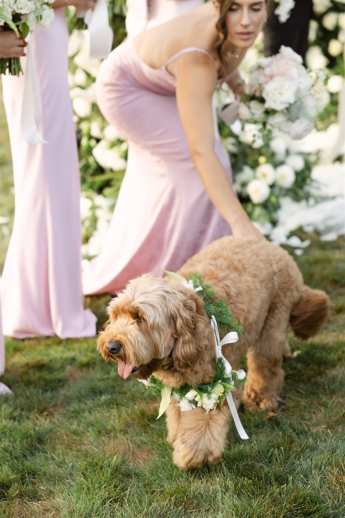 Caroline & Louis Wedding Previews-136