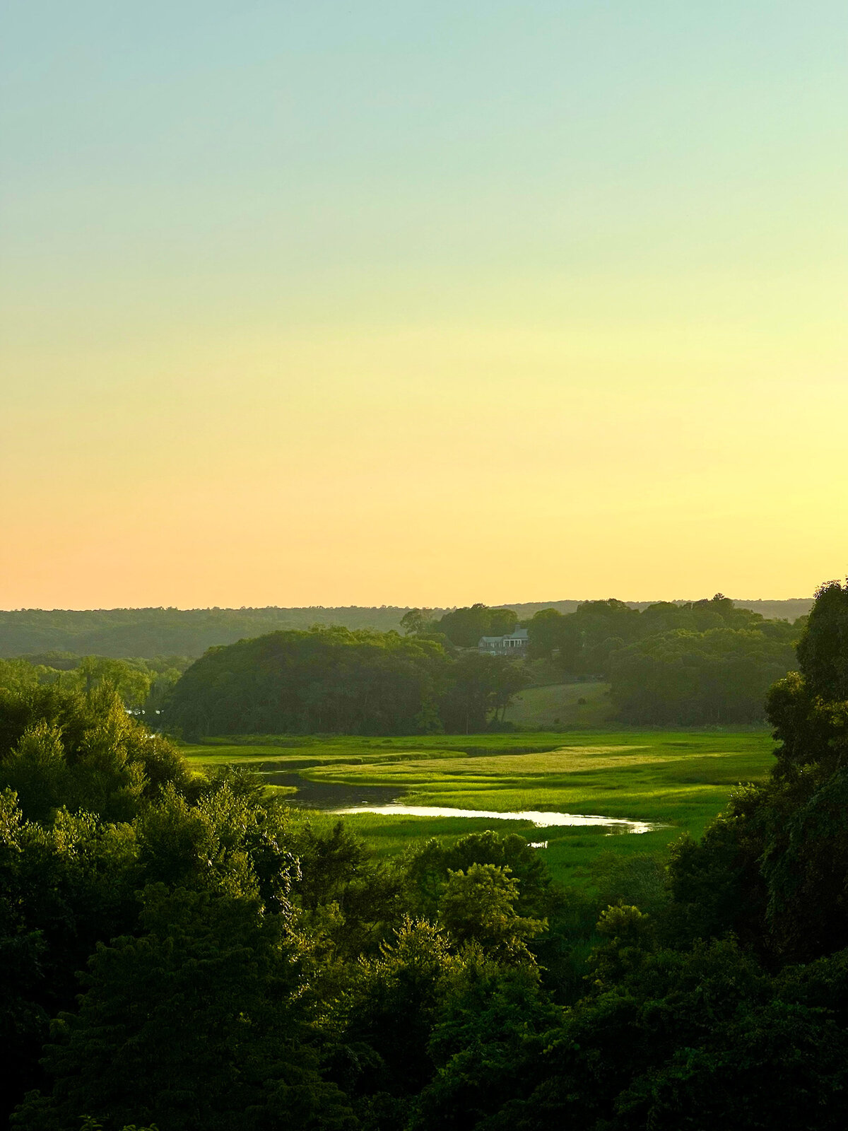 CCC_Estuary_5