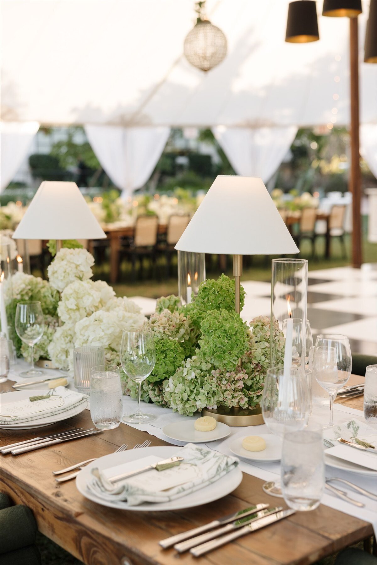 Lyndy Dustin Previews-6