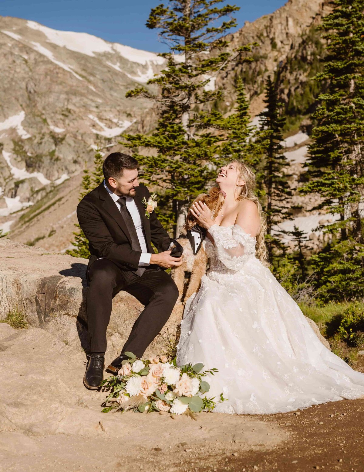 Bride and groom sit on a rock with their dog during their colorado elopement and dog licks brides face