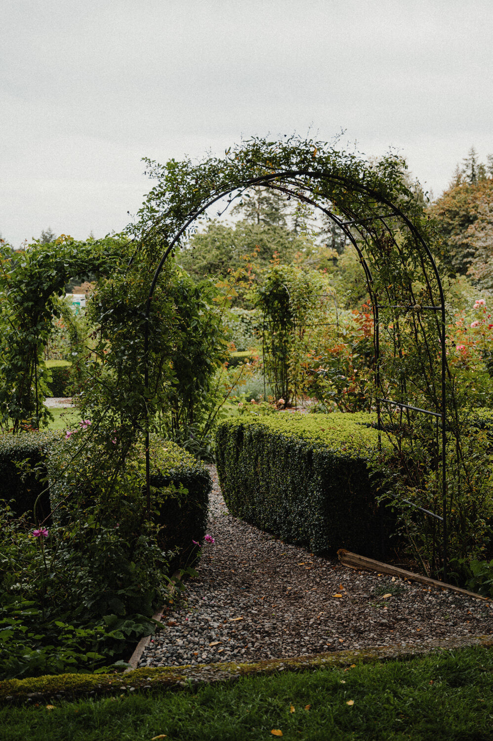 Stratling Vineyard-17