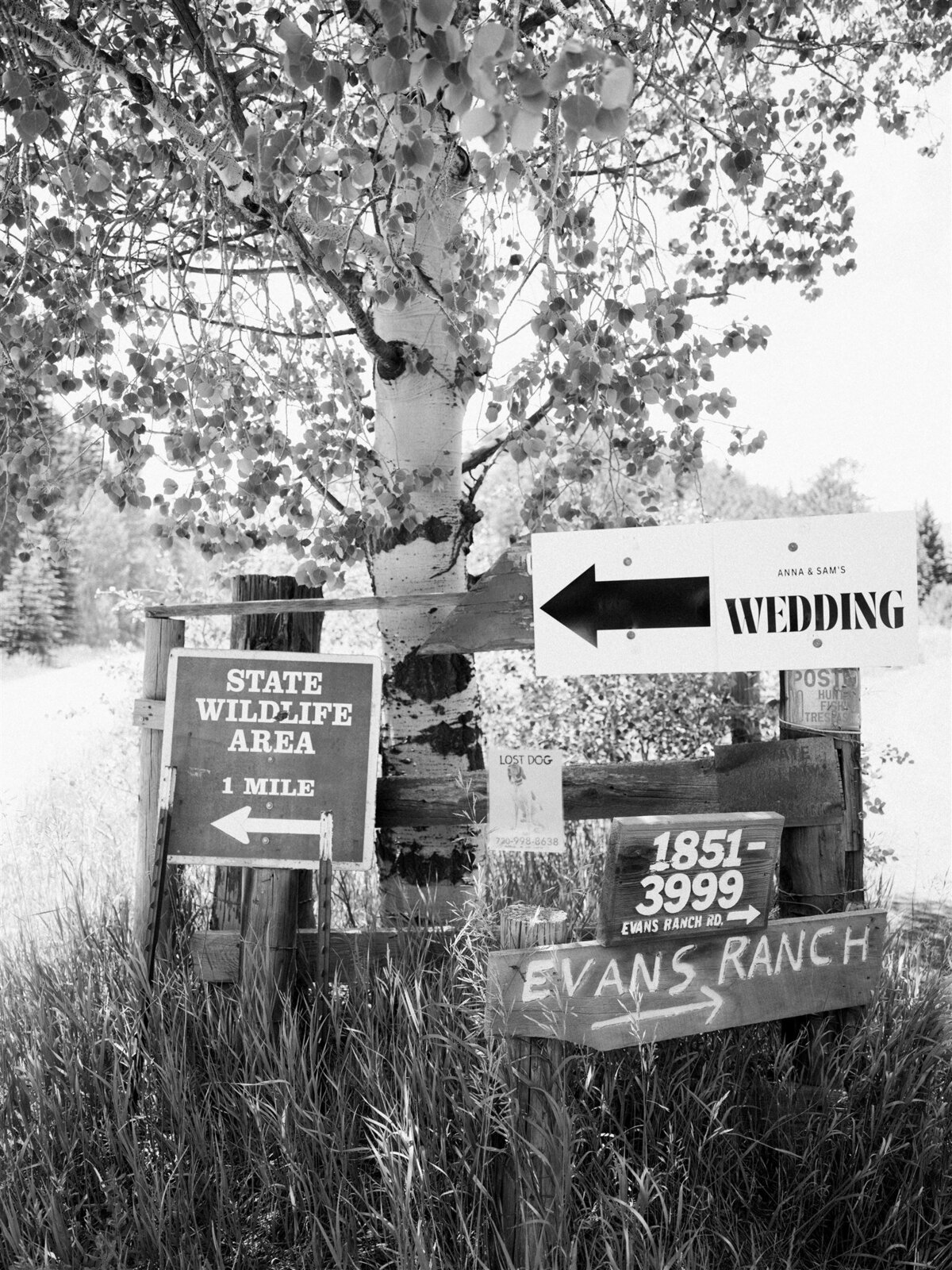 Colorado-wedding-planner-ranch-wedding