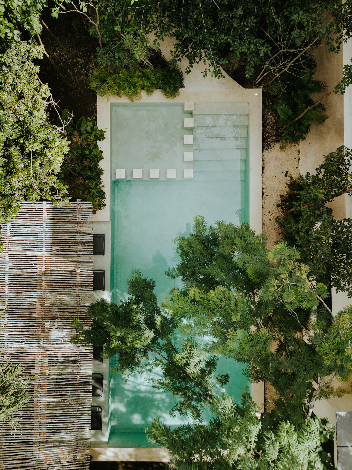 pool-trees-drone-view-above