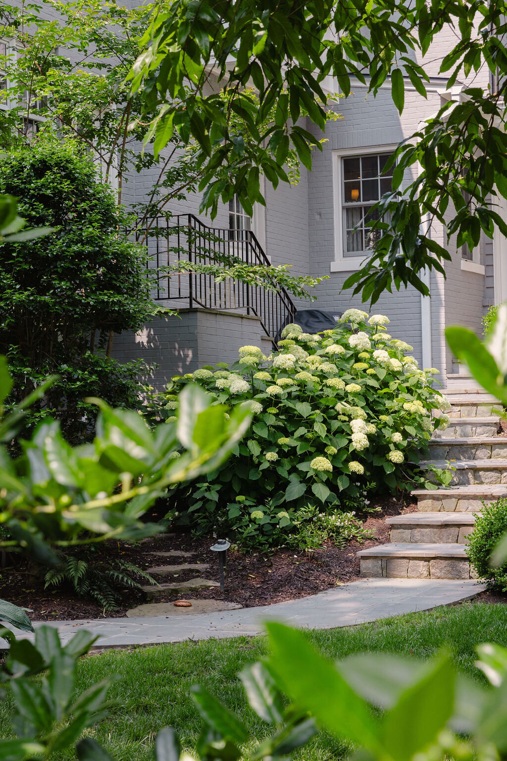perennial border planting washington dc 2