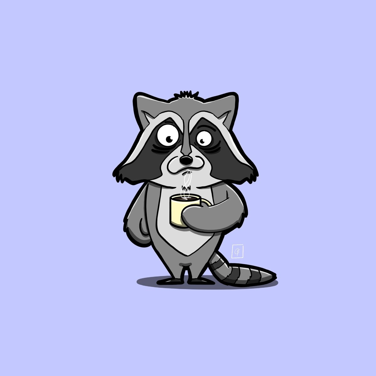 Raccoon_Bob