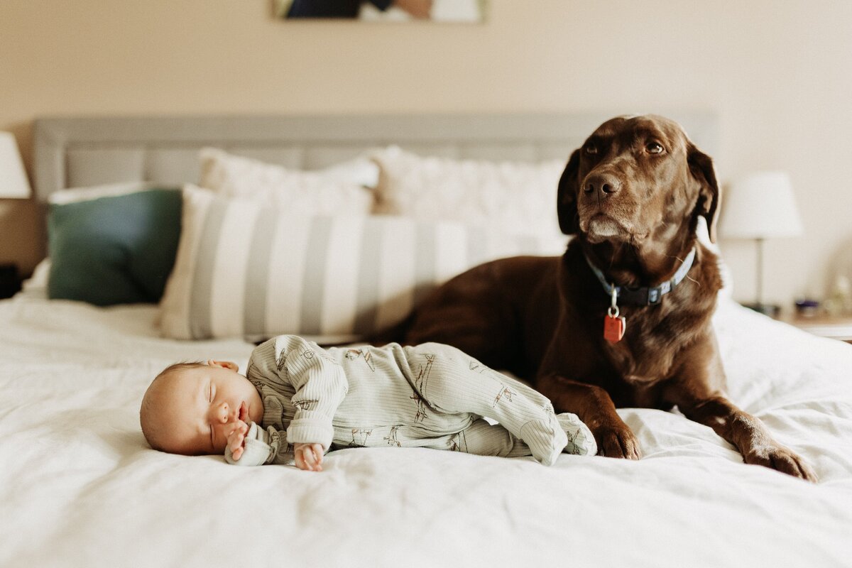 Newborn(5)helena-montana-family-photographer
