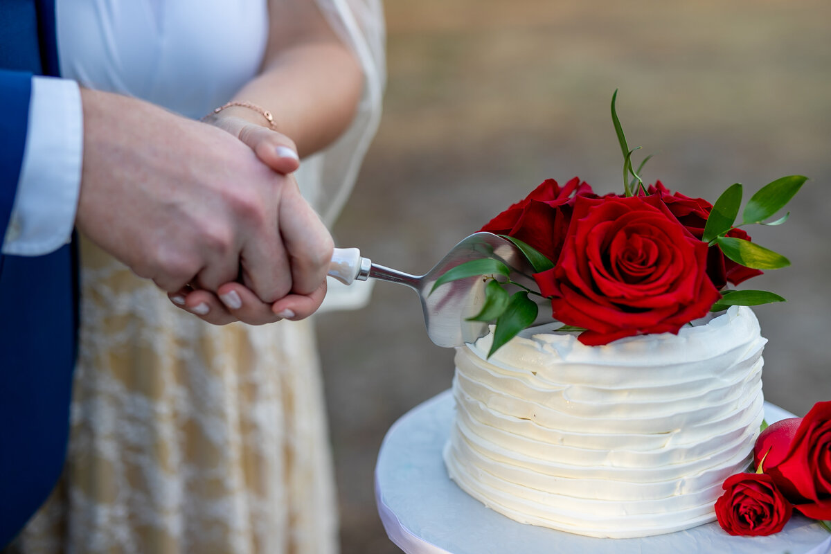 Foto-bohemia-photo-waterworks-parks-elope-tampa-chantilly-chic-celebrations-16