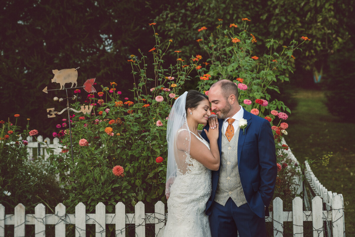 Bride and groom in front of a rose bush by white picket fence.