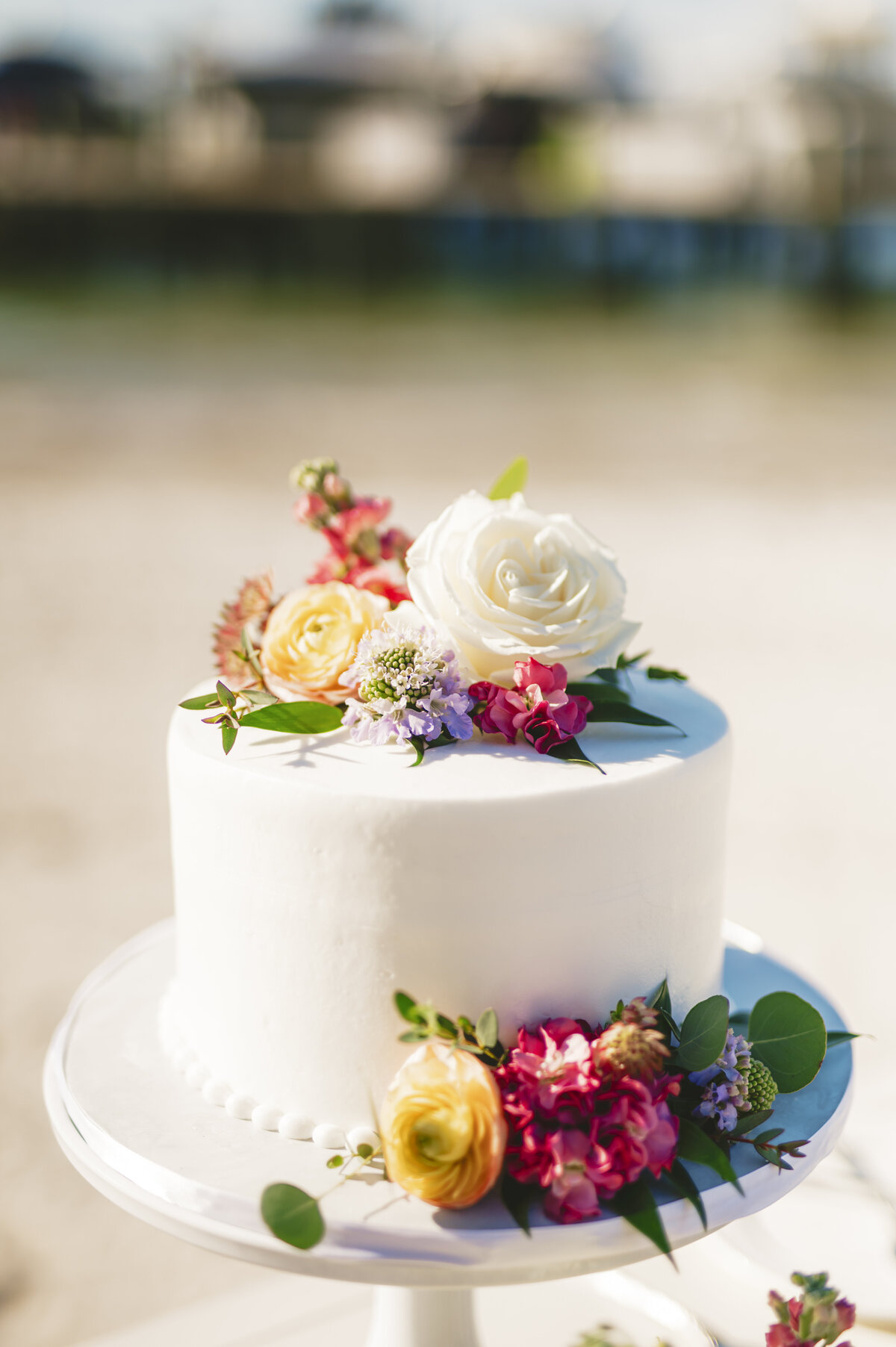 jonathan-hare-photo-isla-del-sol-elope-tampa-chantilly-chic-celebrations-10