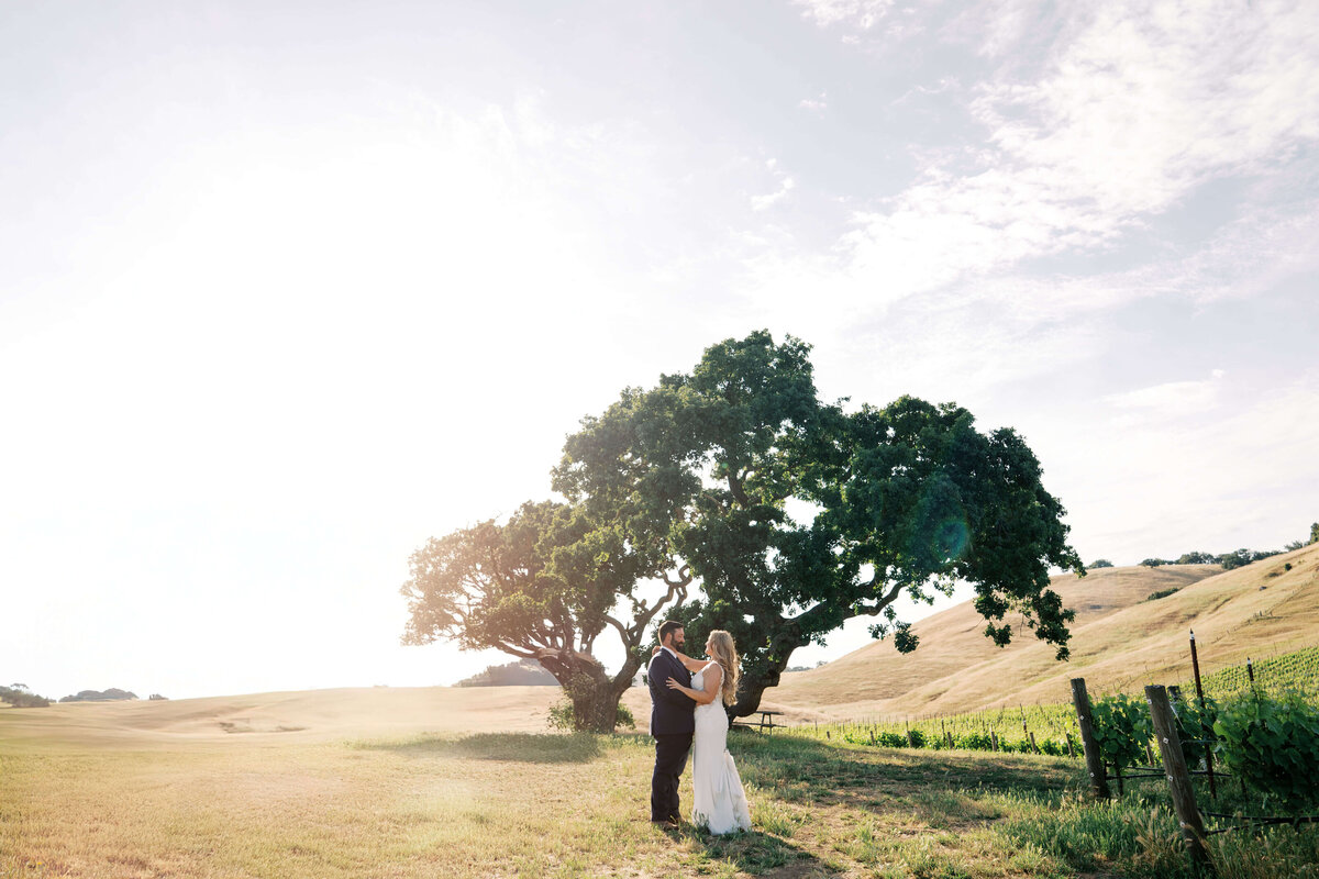 Romantic first look under oak trees – Livermore wedding photographer