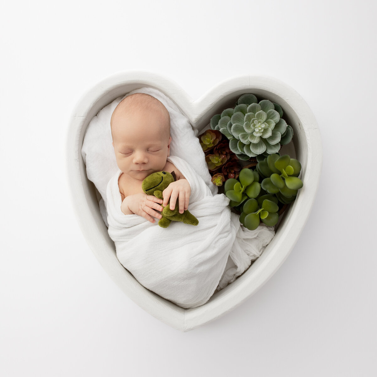 photography-studio-props-hobart-tasmania-5