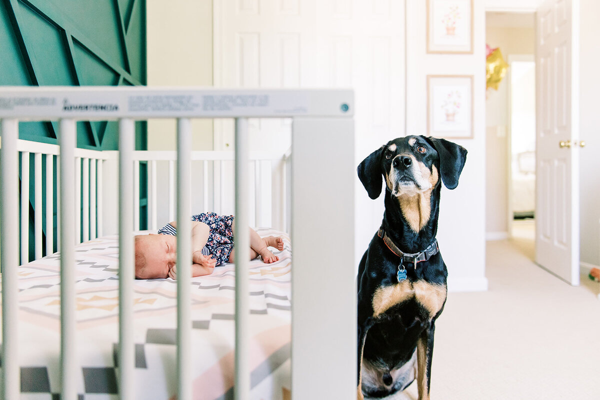 GriffisNewbornSession-KathrynIvyPhoto-202157
