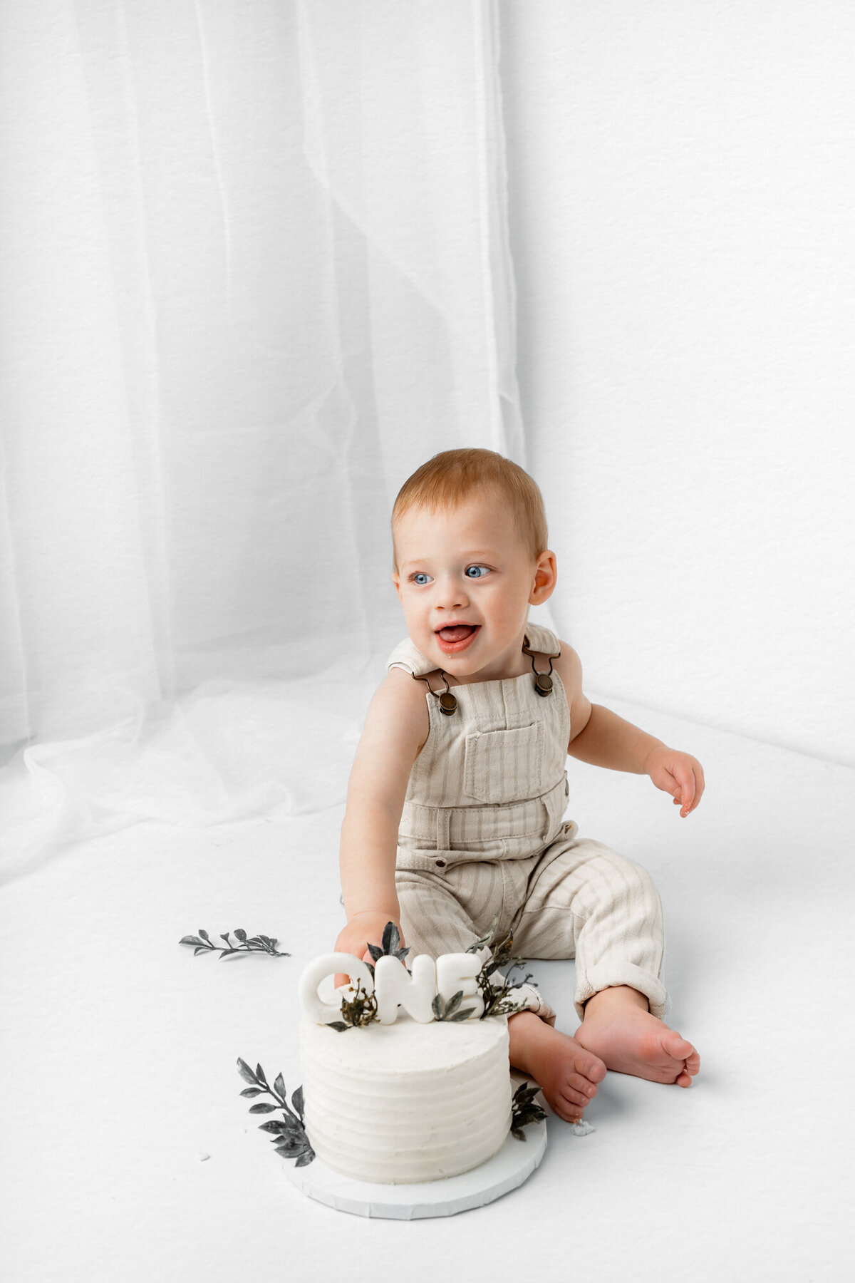 Lake Tahoe-Cake Smash-Photographer-16