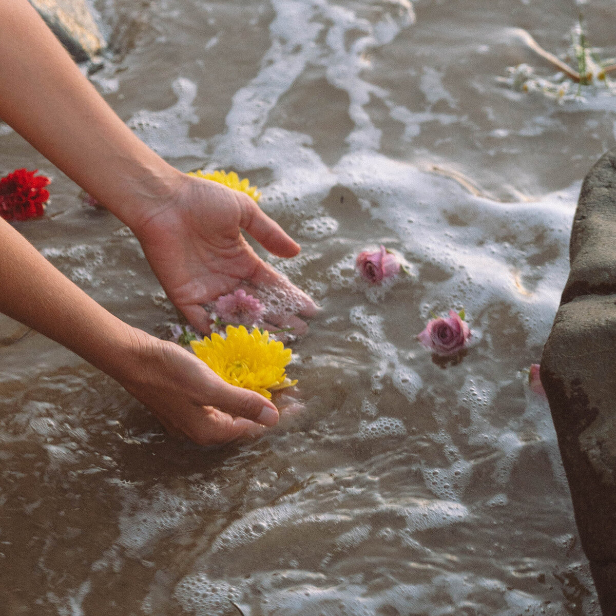 Close-up of hands releasing colorful flowers into the ocean tide during a sunset branding session at Laguna Beach. Organic and artistic coastal detail photograph.