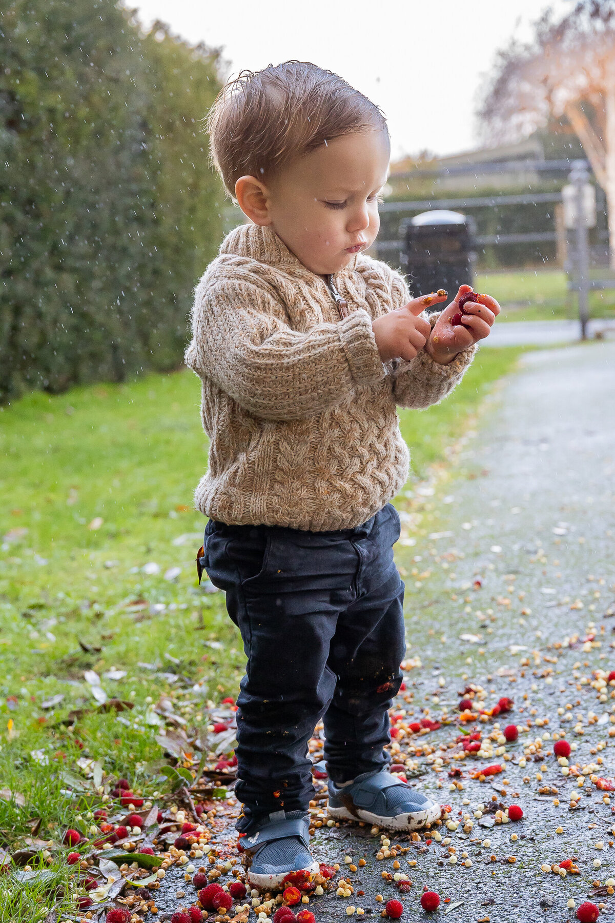 Toddler looking curiously at a fruit