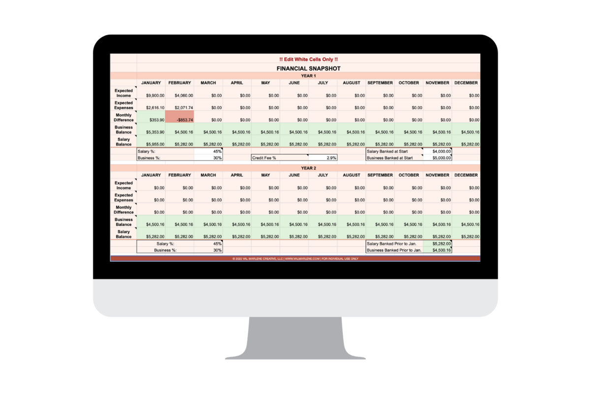 2-Year-Financial-Snapshot–Val-Marlene-Creative-Business-Spreadsheets-for-Creatives (2)