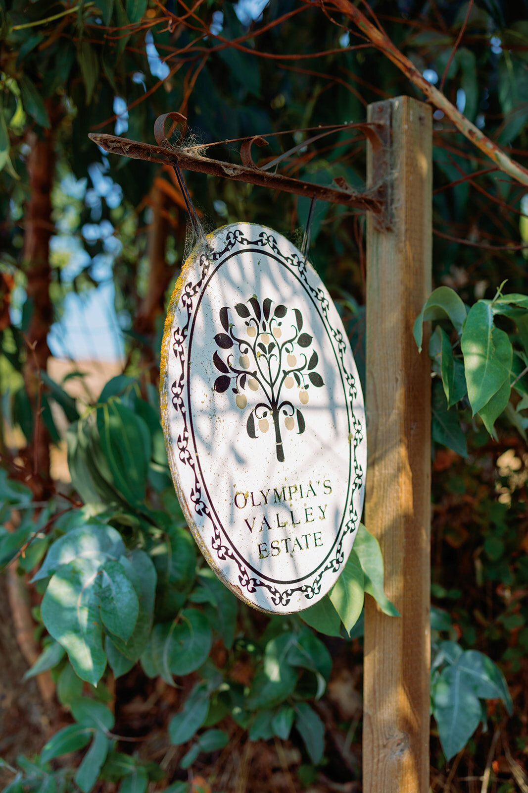 Ariandjordanwedding89-1079
