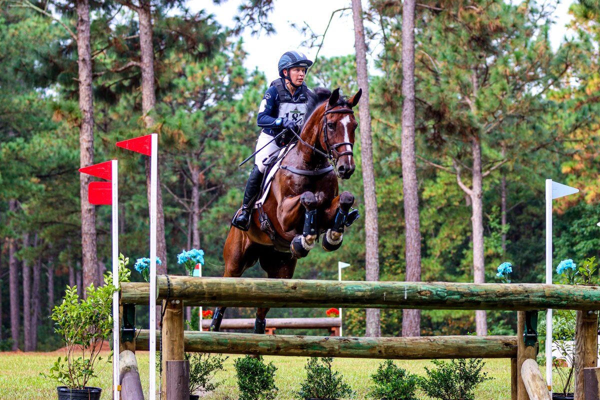 A bay horse jumping a large cross country log jump during an event at the Carolina Horse Park in Raeford, North Carolina.
