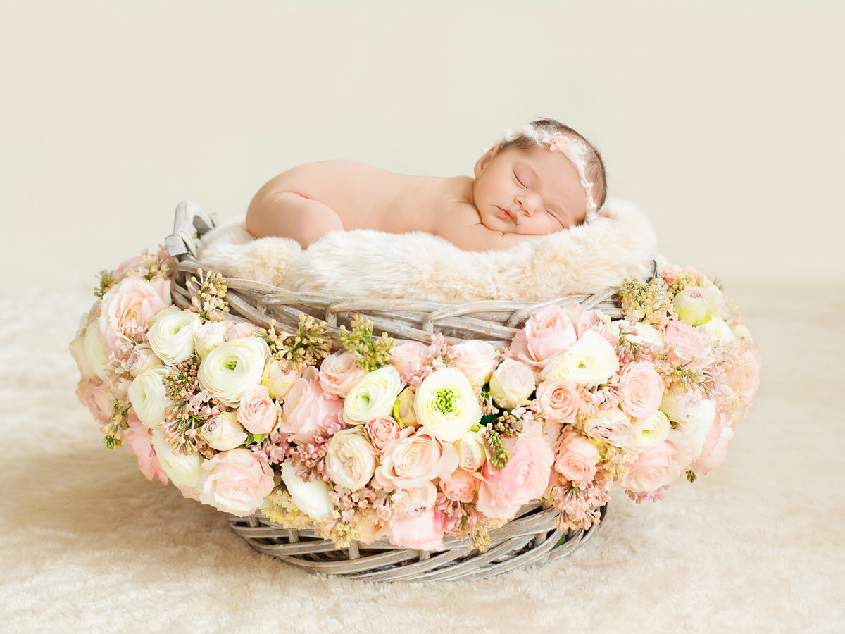 newborn in flowers243