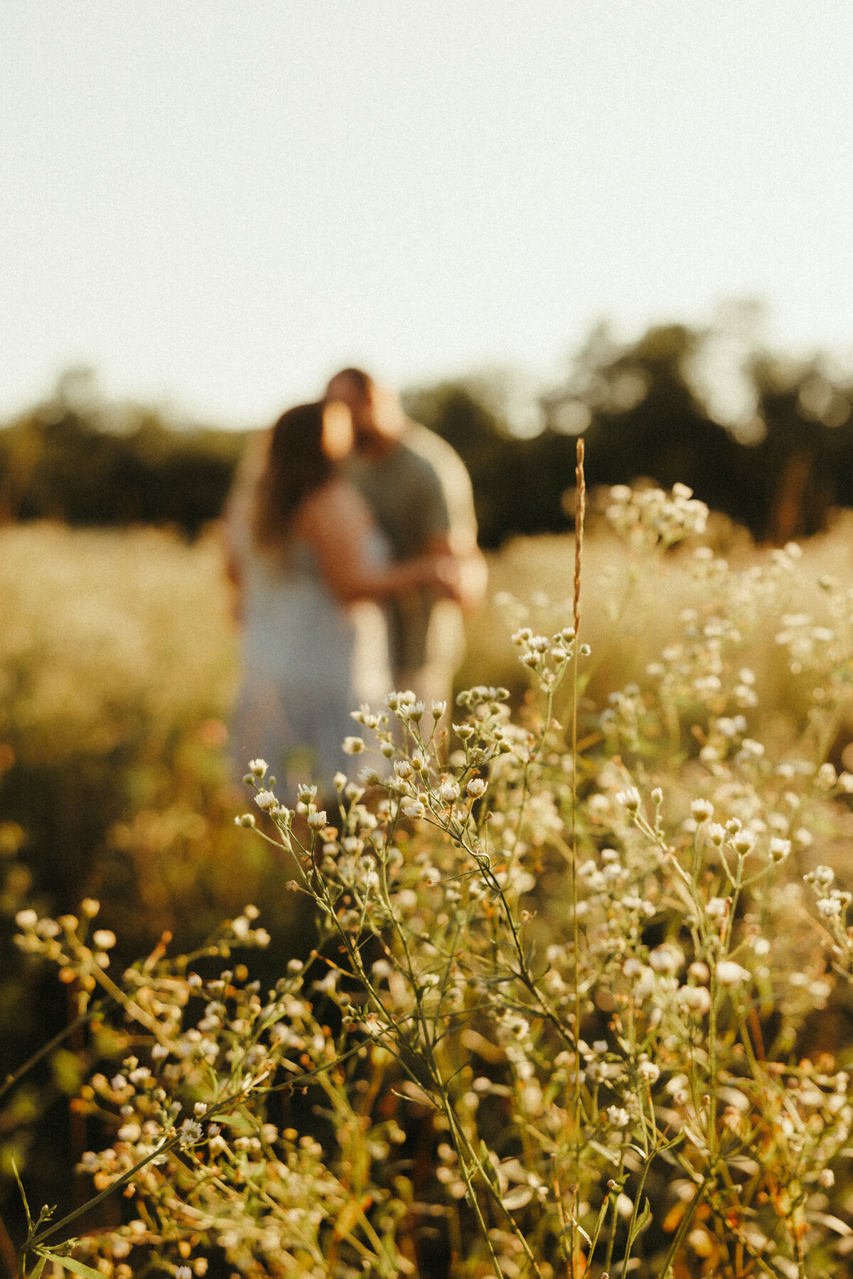 Julia-adam-engagement-salisbury-nh-wildflower-field-summer-24