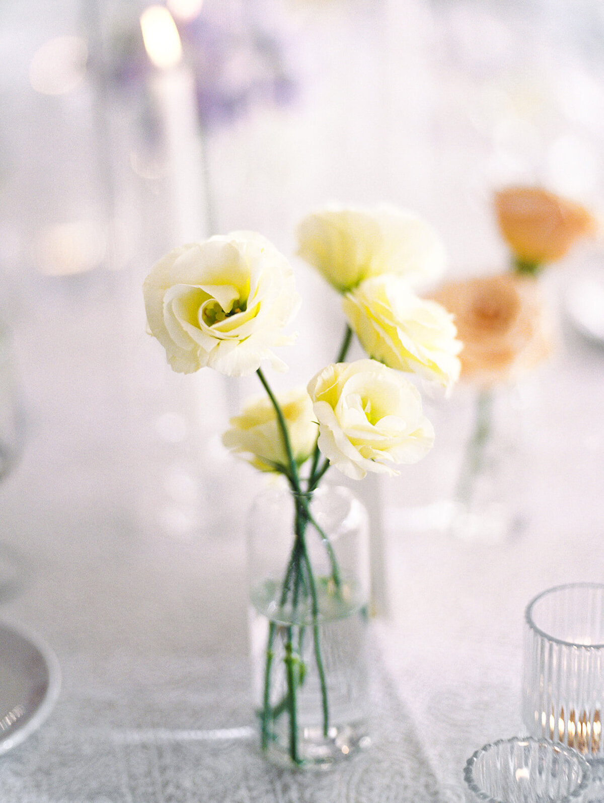 RobAlicia_DetailsFilm-3